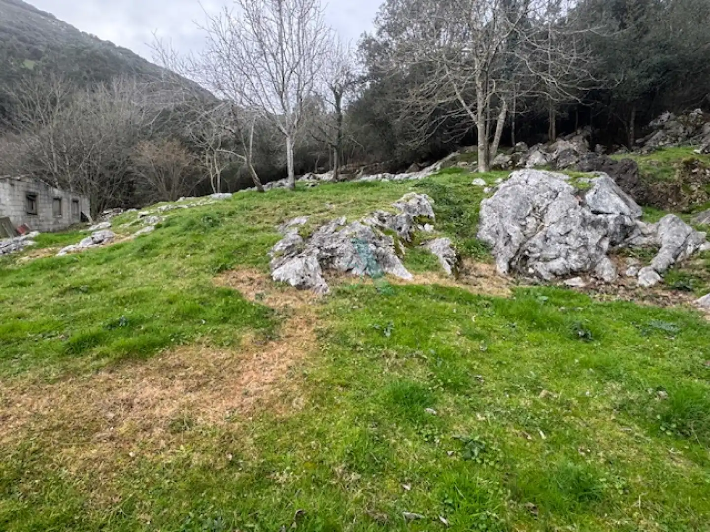 Terreno residencial en venta en ANDINAS, imagen 7
