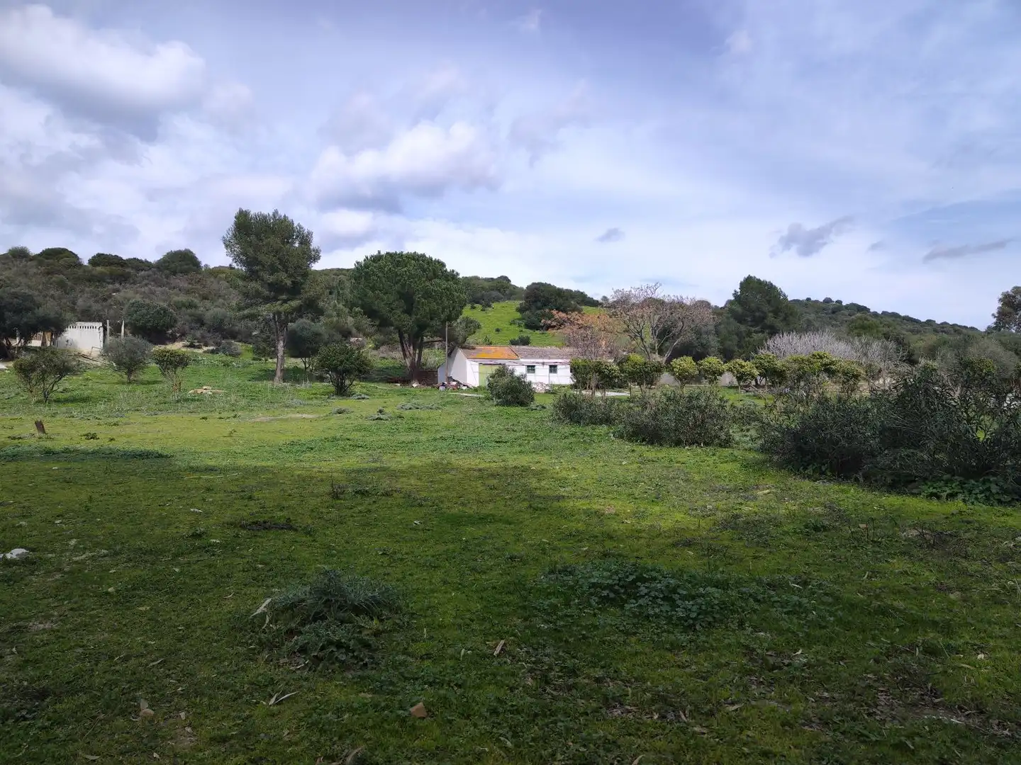 Maison rustique à vendre à San Martín del Tesorillo, imagen 28