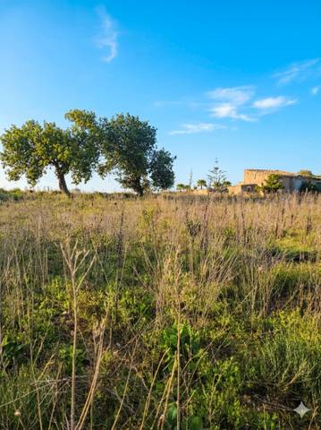Terreno en Venta en Manacor Centre
