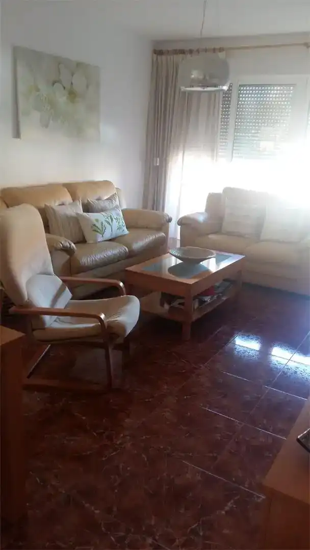 Sala d'estar de Pis en venda en Manuel amb Aire condicionat i Balcó