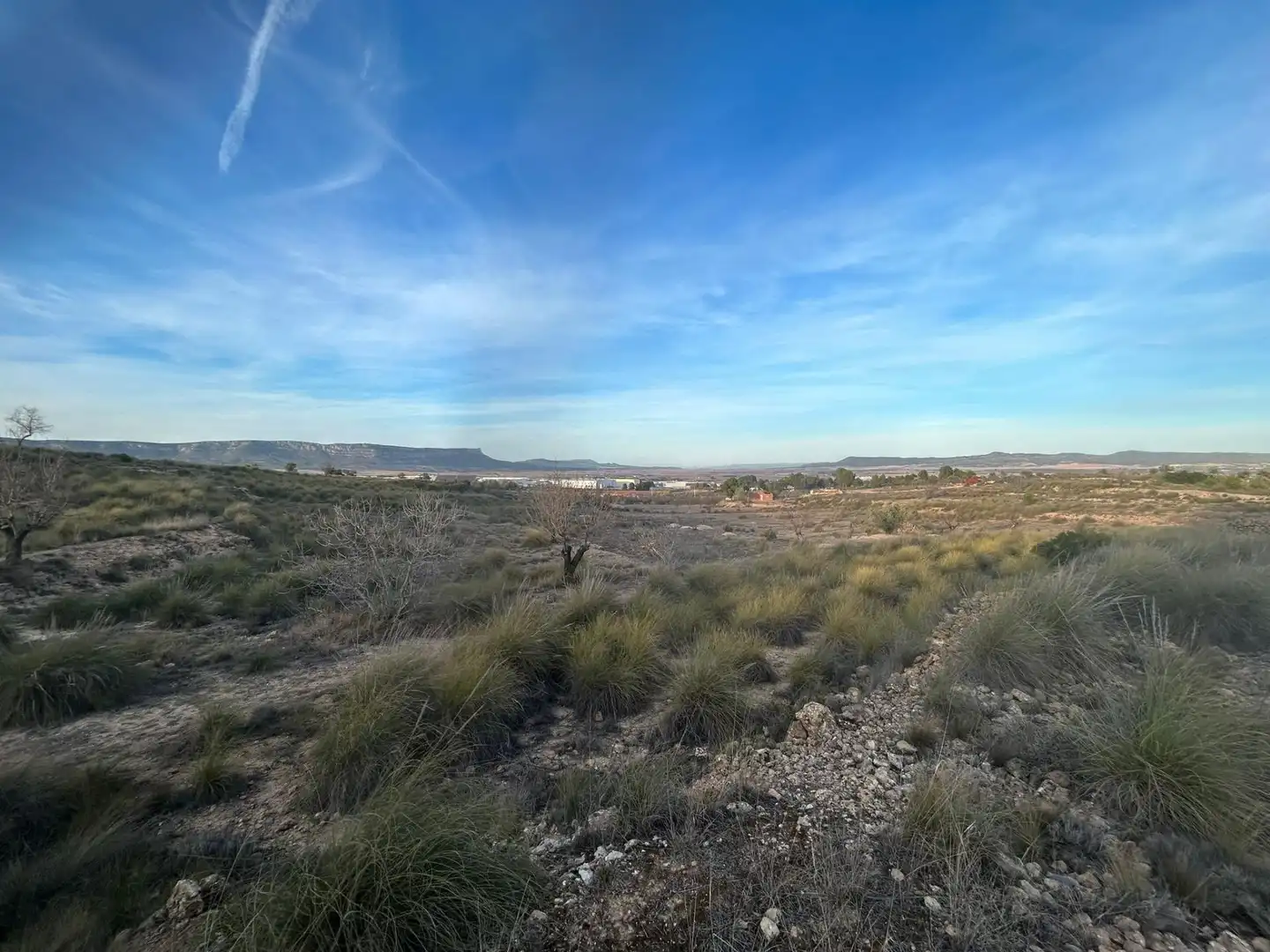 Terreno en venta en Almansa