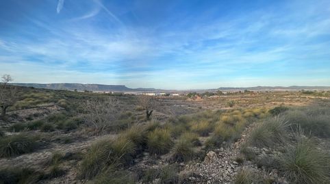Foto 2 de Terreno en venta en Almansa, Albacete