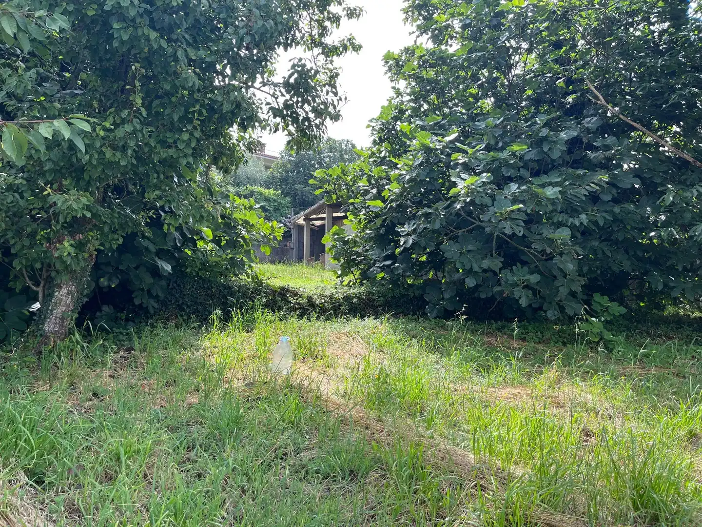 Finca rústica en venda a Vila de Cruces