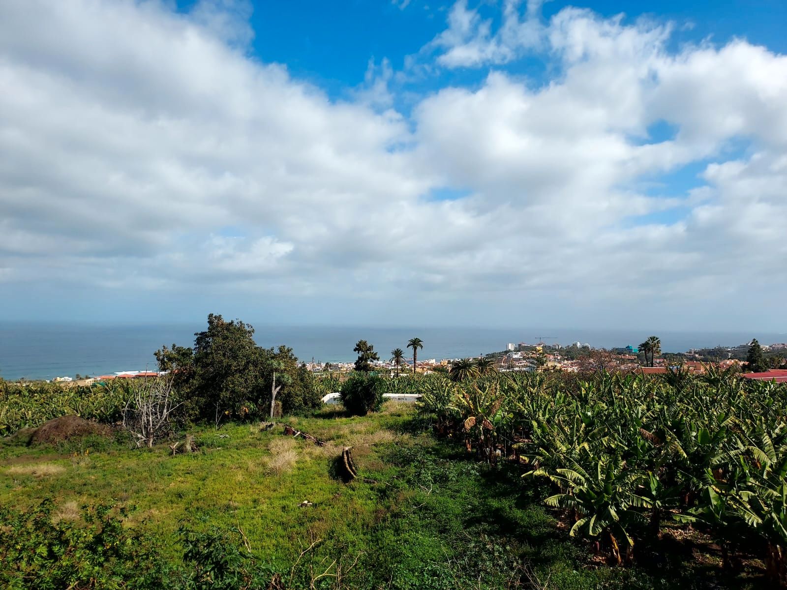 Apartamento en venta en Puerto de la Cruz con Amueblado
