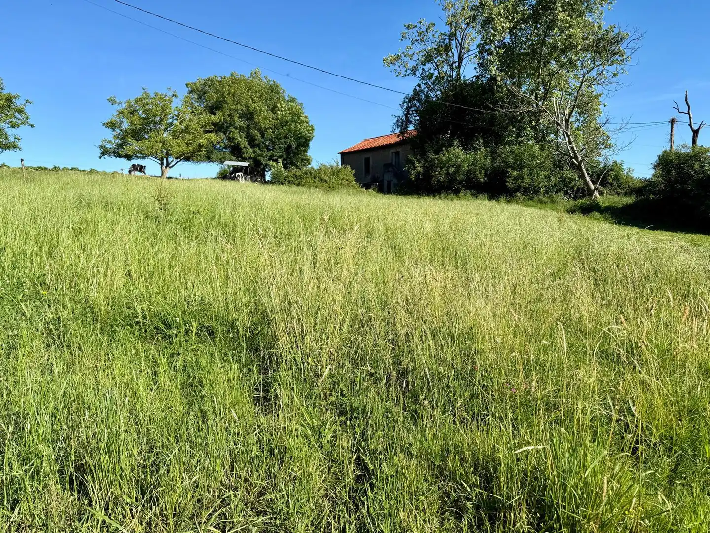 Terreno en venta en Medio Cudeyo