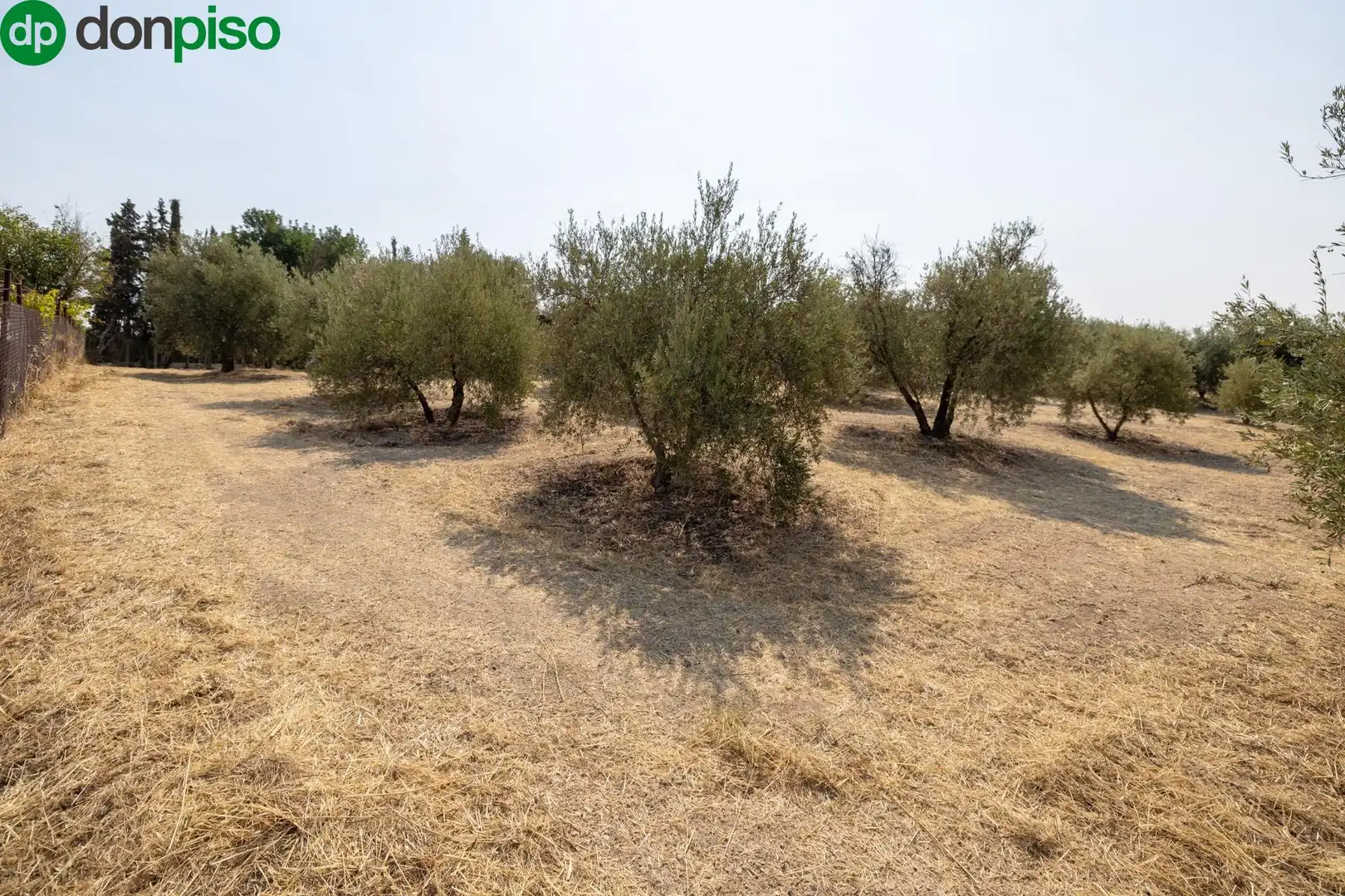 Finca rústica en venda a Calle de Moraleda a Cómpeta, Moraleda de Zafayona
