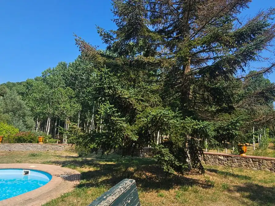 Casa rústica amb jardí en venda a Passeig Cosme I Damia 2, imagen 4