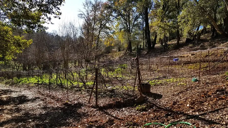 Finca rústica en venta en Galaroza con Calefacción, Jardín privado y Terraza