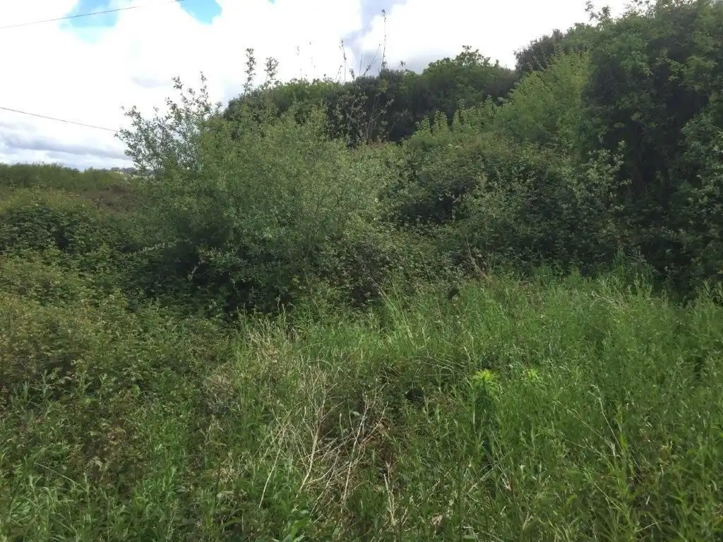 Terreno residenziale in vendita a N/A, imagen 7