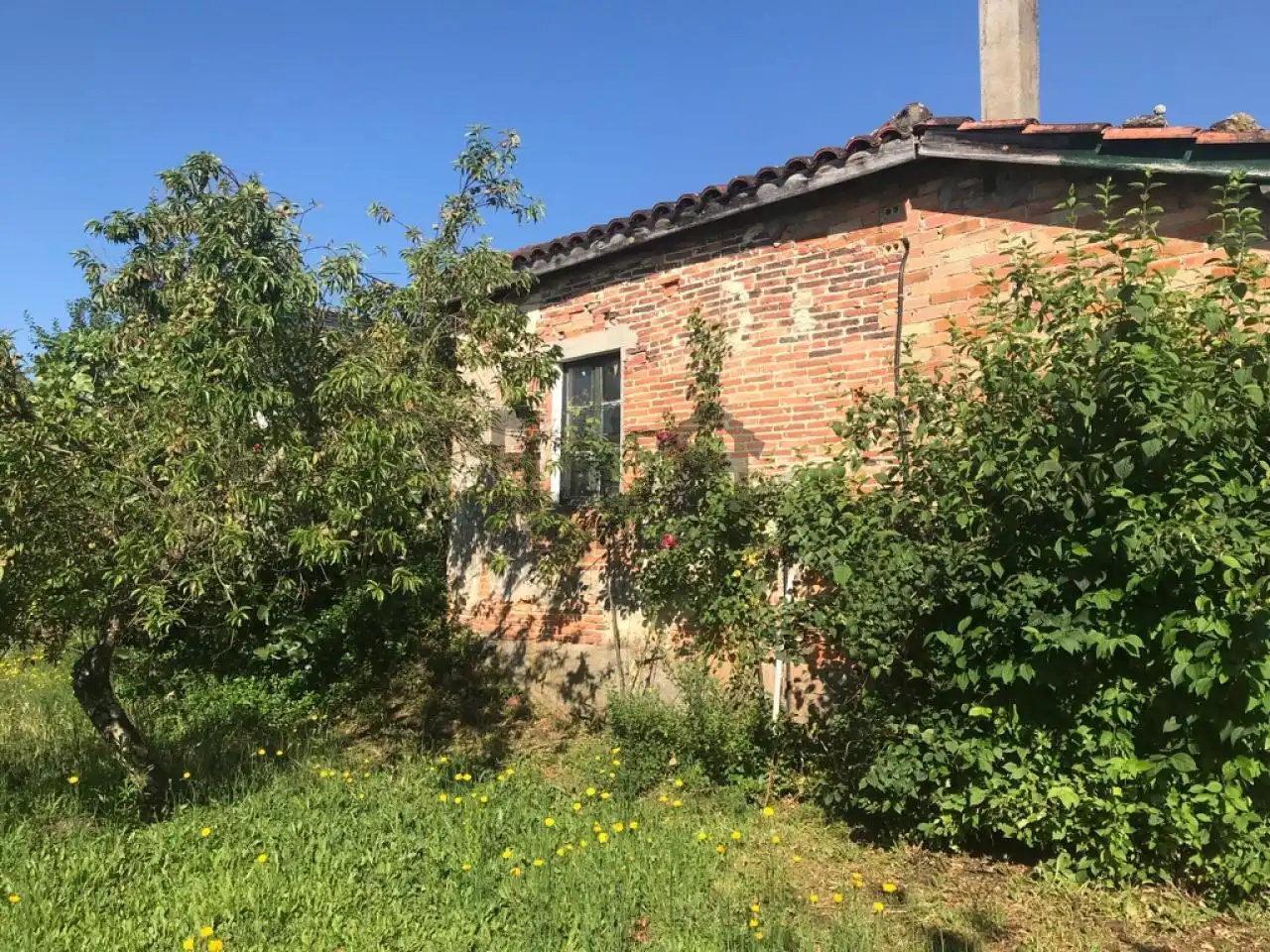 Casa con giardino in vendita a SEIXADA - SEARA, imagen 2