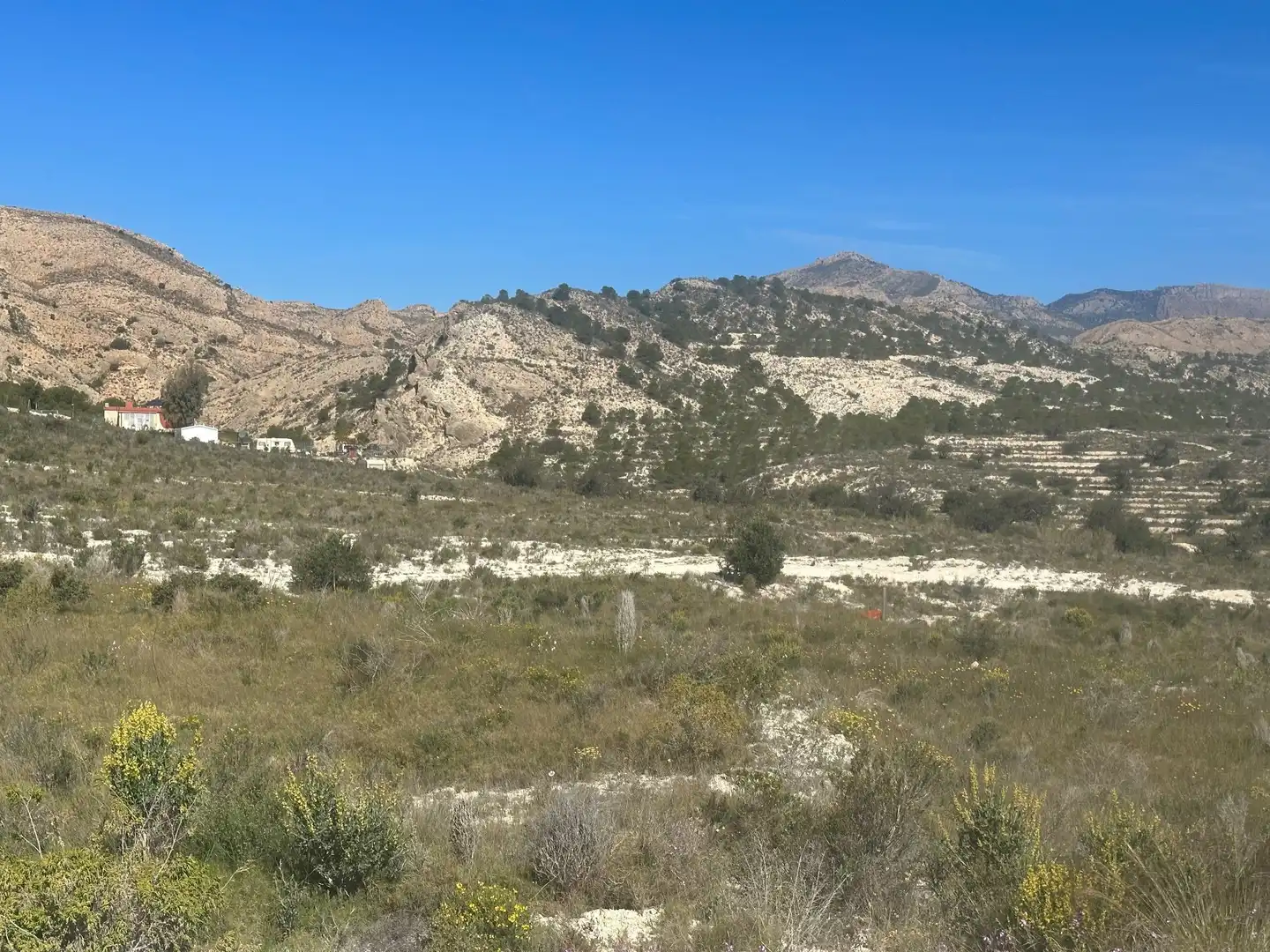 Terrains et parcelles à vendre à Agost, imagen 6