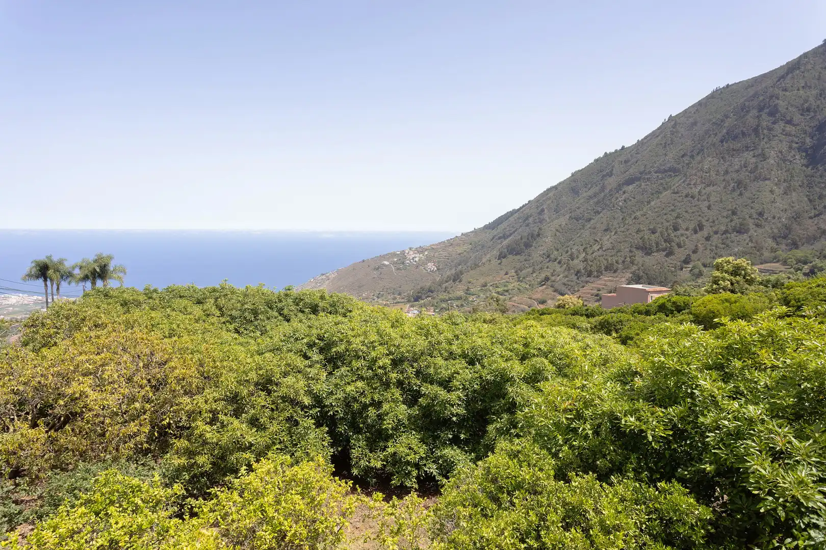 Houses for sale in La Perdoma - San Antonio - Benijos