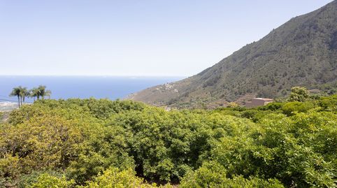 Foto 2 de Casa o chalet en venta en La Perdoma - San Antonio - Benijos, La Orotava