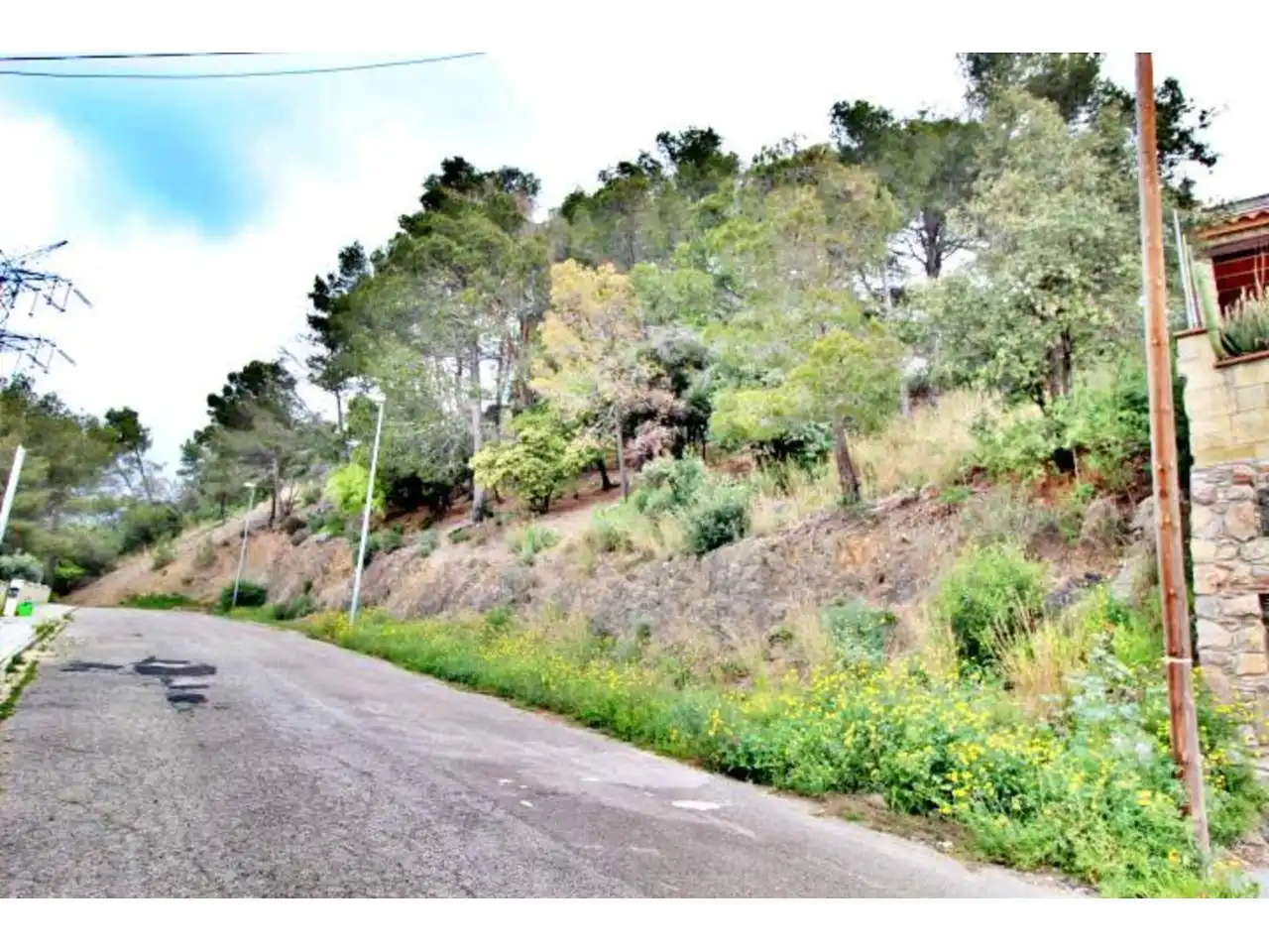Rural land for sale in Calle Llosa, imagen 3