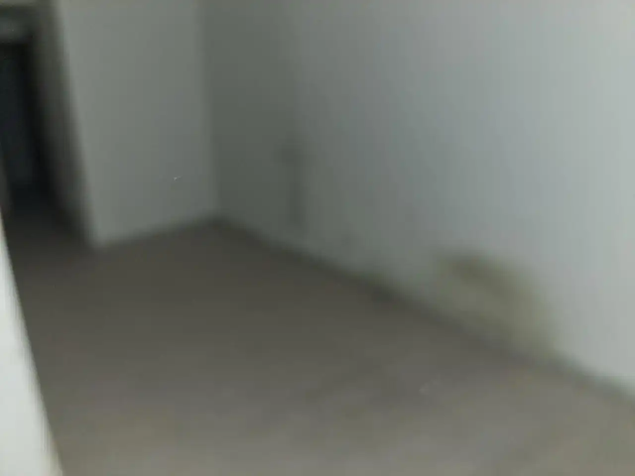 Gewerbefläche zur Miete in Calle del Monasterio de Siresa 8, imagen 9