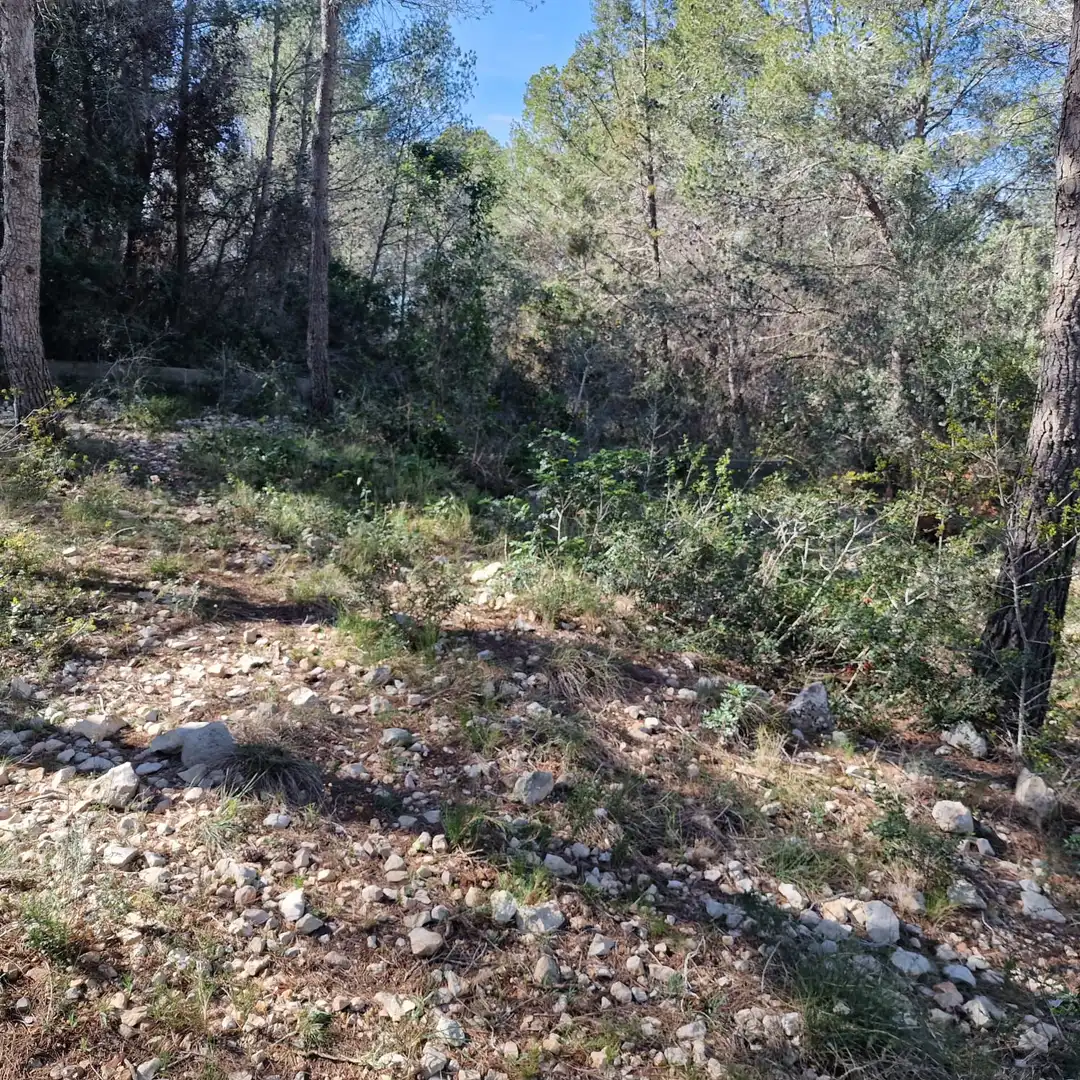Terreno residencial en venta en Carrer Gessamí 18, imagen 31