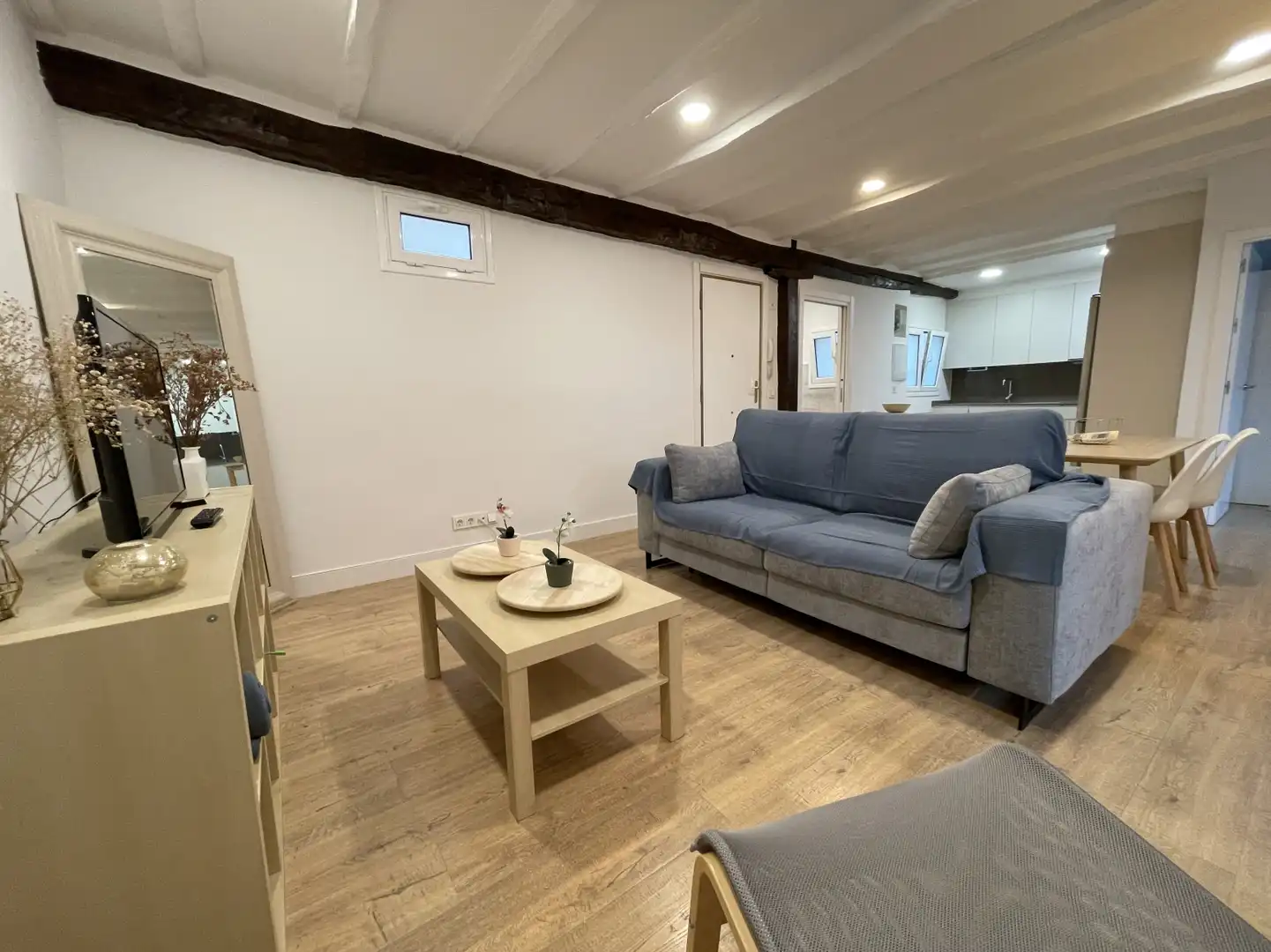 Living room of Flat for rent in Donostia - San Sebastián   with Air Conditioner and Heating