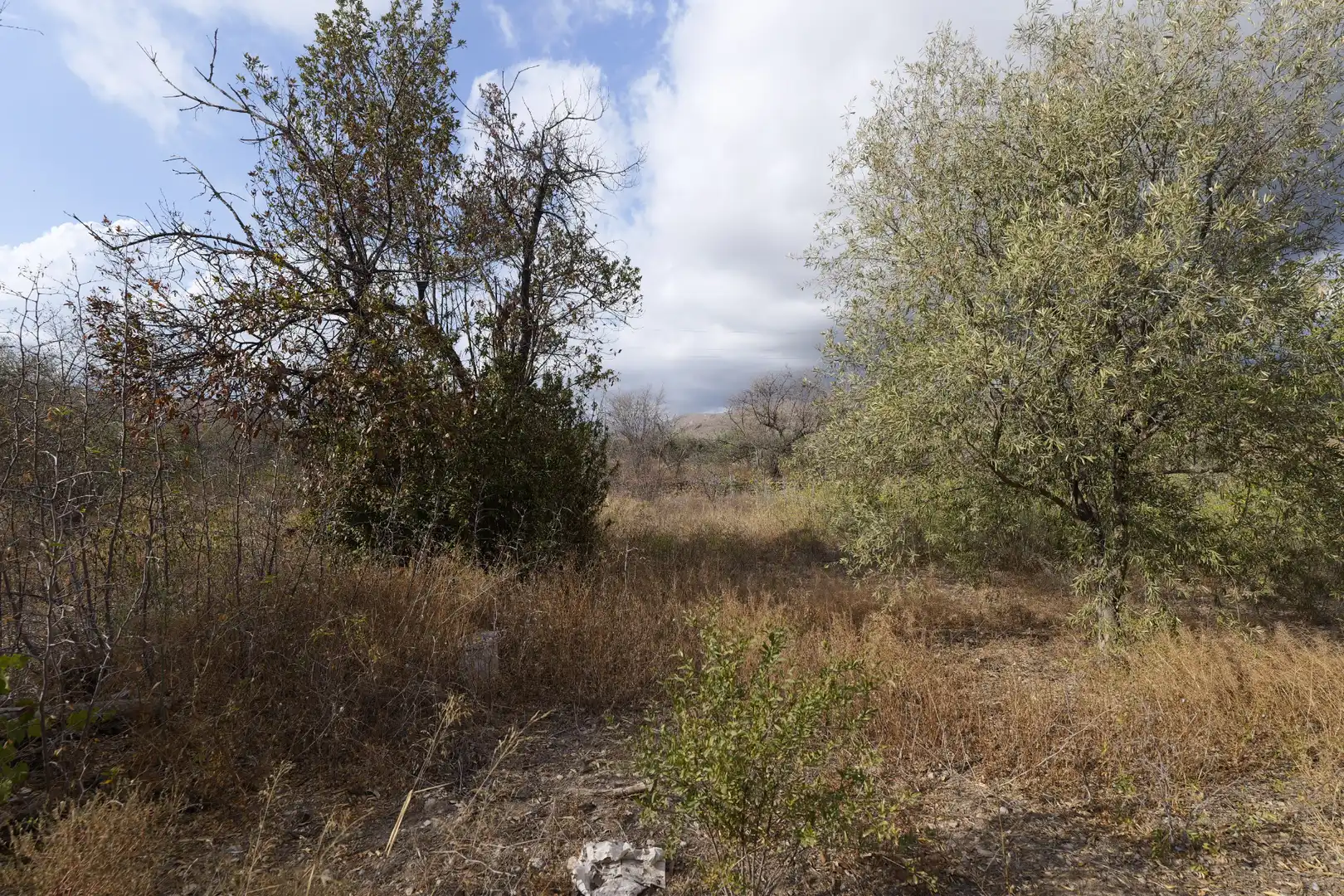 Terreno residencial en venta en Callejón de Beltrán 12, imagen 7
