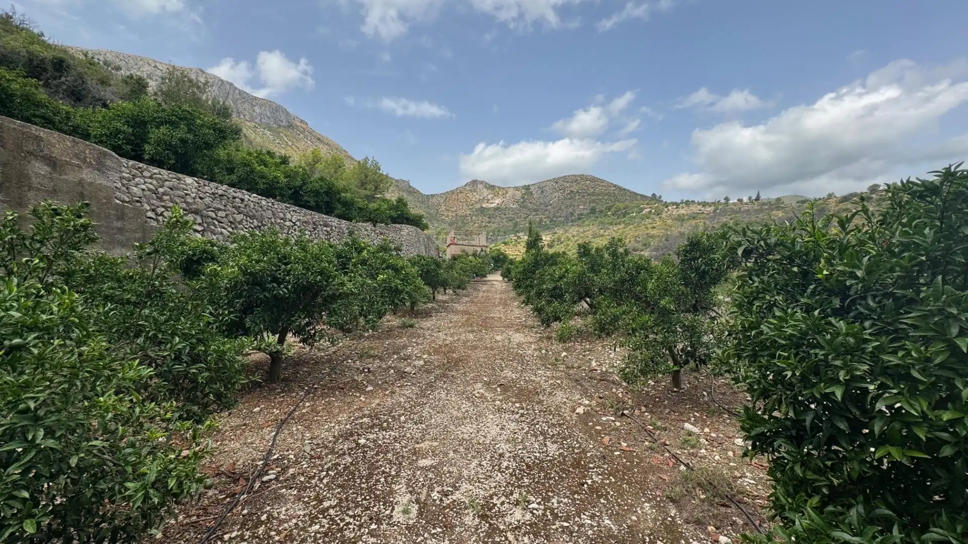 Residencial en venta en L'Atzúbia