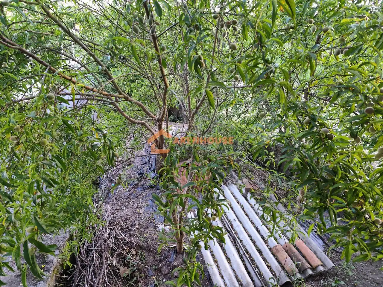 Casa amb terrassa en venda a San Cristovo de Cea, imagen 6