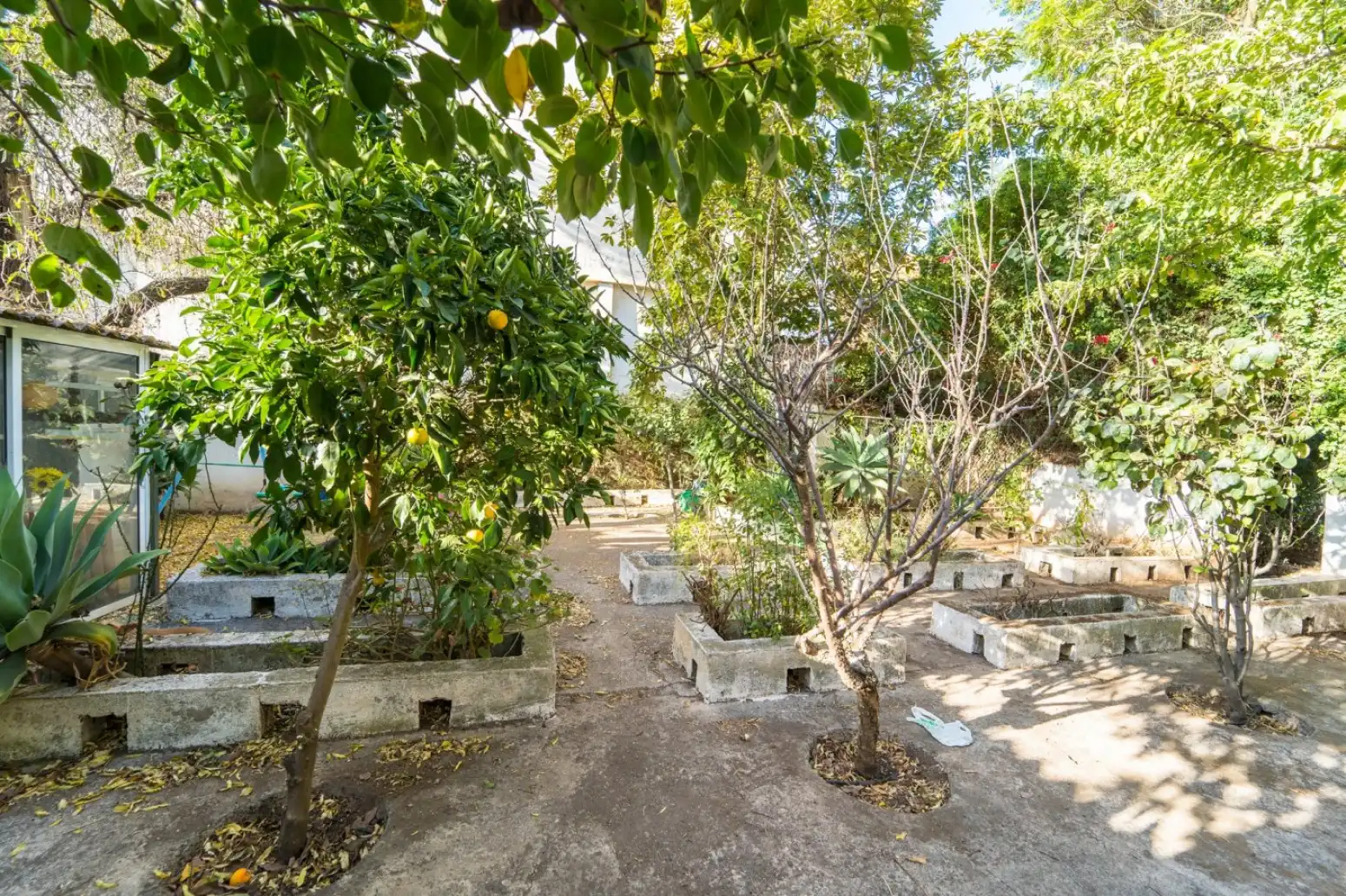 Houses for sale in San Cristóbal de La Laguna - Calle SAN JUAN, La Laguna