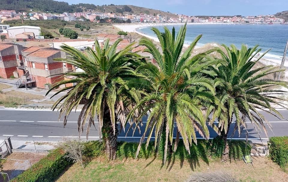 Vista exterior de Casa o xalet en venda en Laxe amb Jardí privat, Terrassa i Balcó
