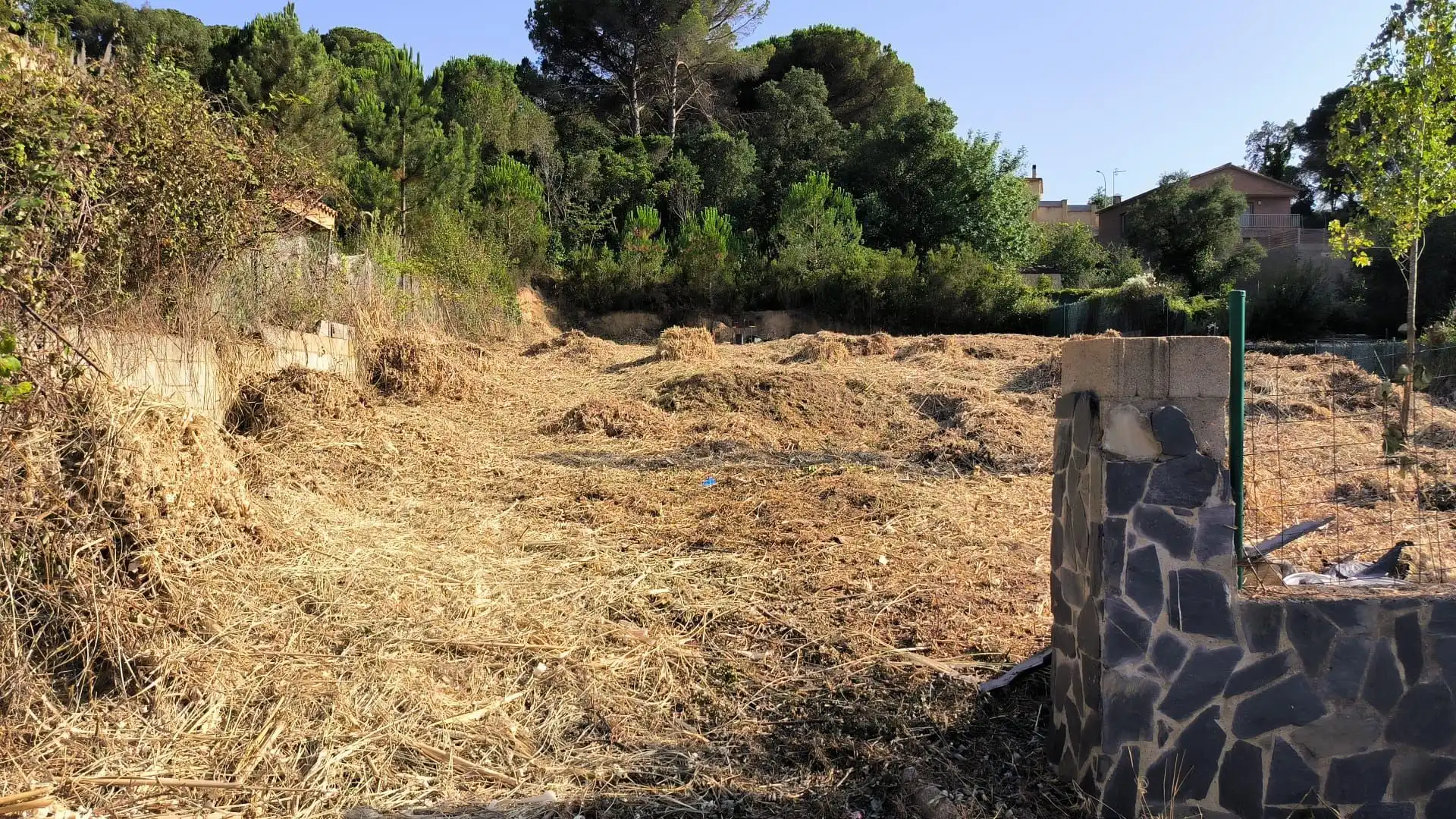 Terrenos y solares en venta en Mil·leni, imagen 7