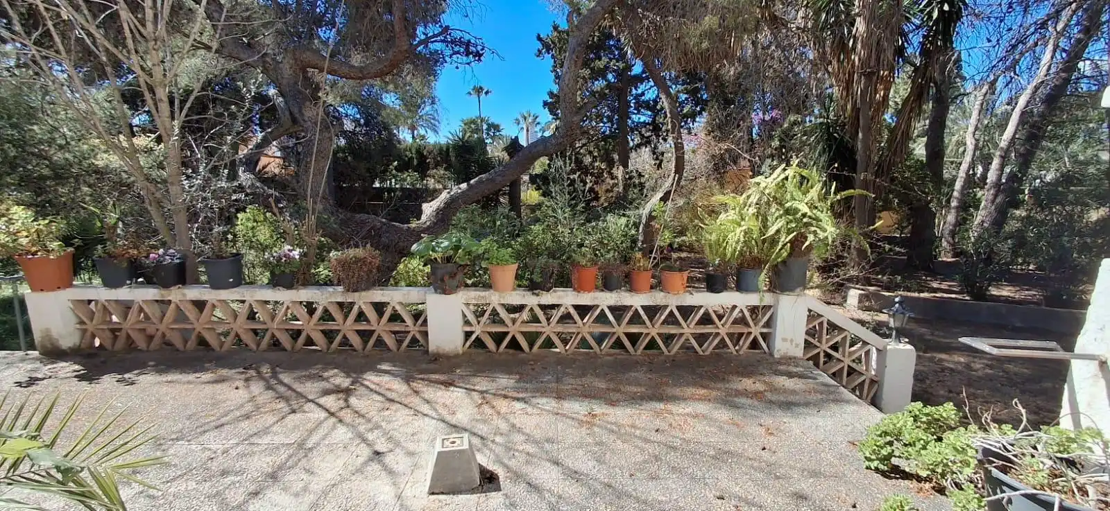 Garden of Country homes for sale in Benidorm  with Private garden, Terrace and Storage room
