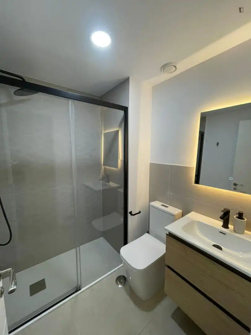 Baño de Apartamento de alquiler en Madrid con Aire acondicionado, Calefacción y Amueblado