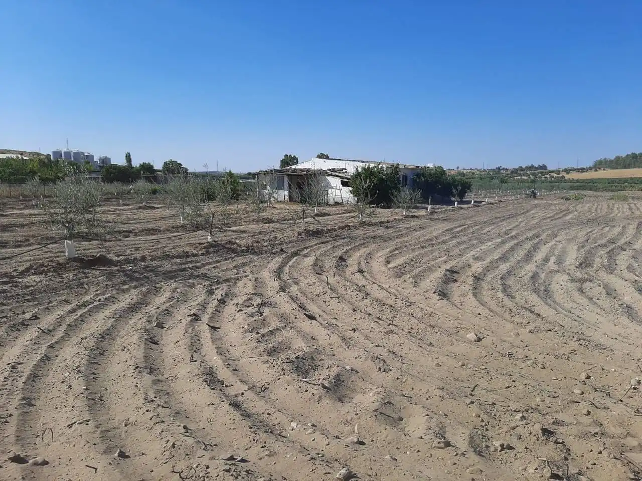 Casa o chalet en venta en Calamonte