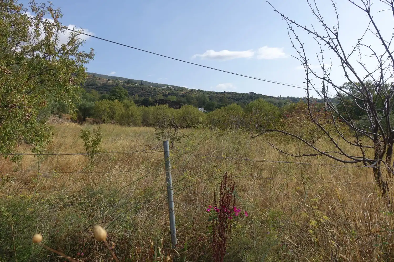 Finca rústica en venta en La Taha