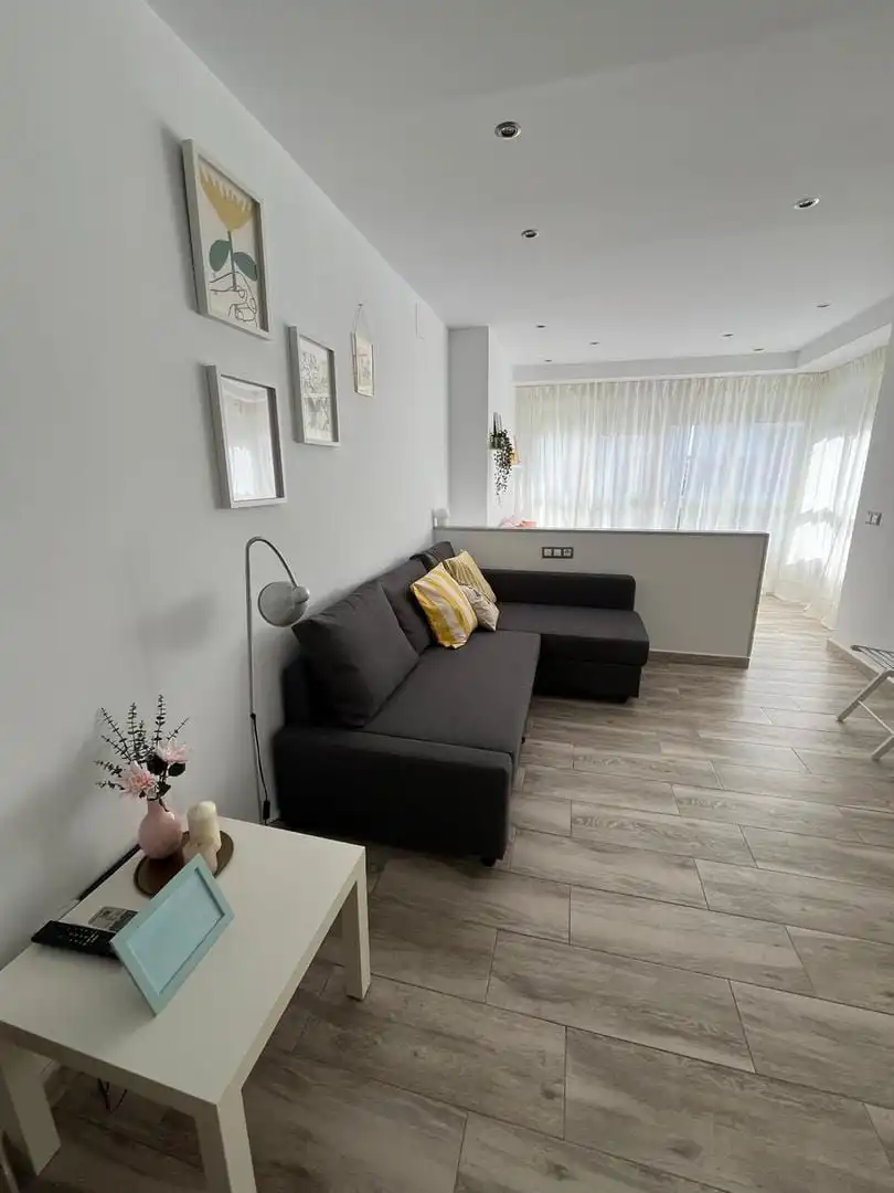 Living room of Study for rent in Torremolinos  with Air Conditioner, Heating and Furnished