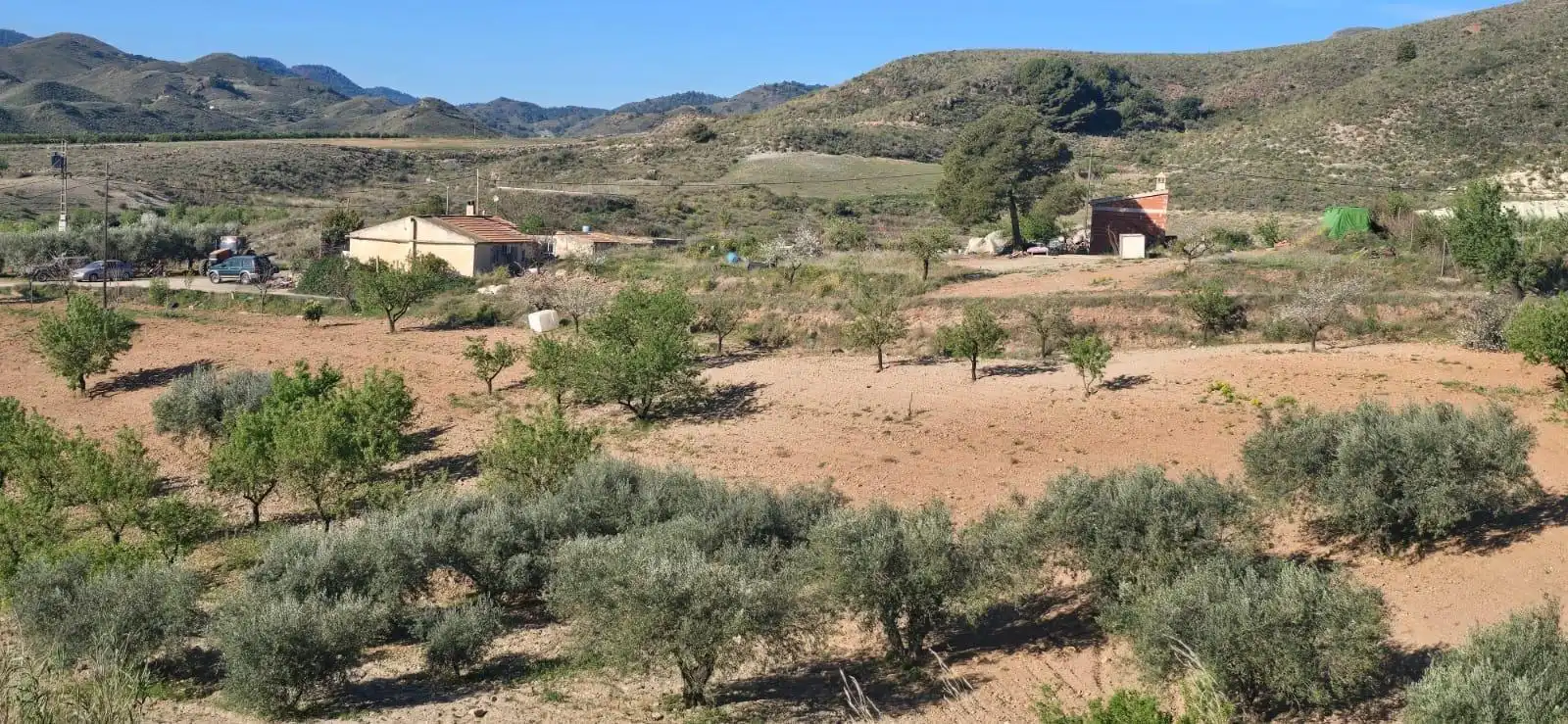 Casa o chalet en venta en Lorca