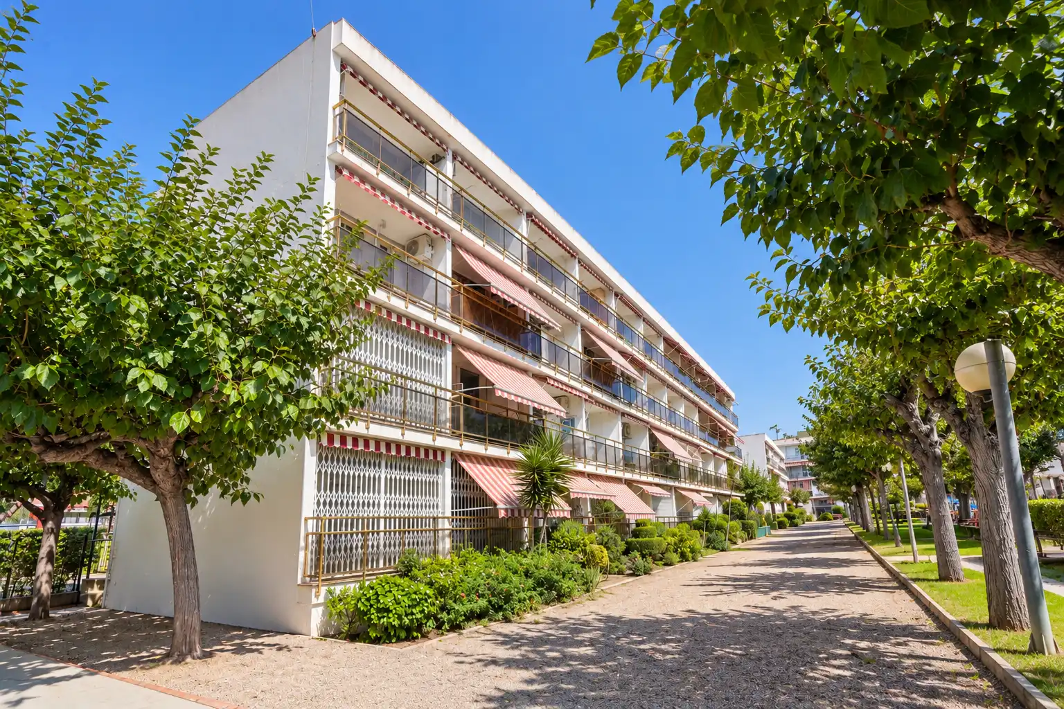 Studio mit Pool zum Verkauf in Carrer de Serafí Pitarra, imagen 2