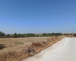 Finca rústica en venda en Guillena