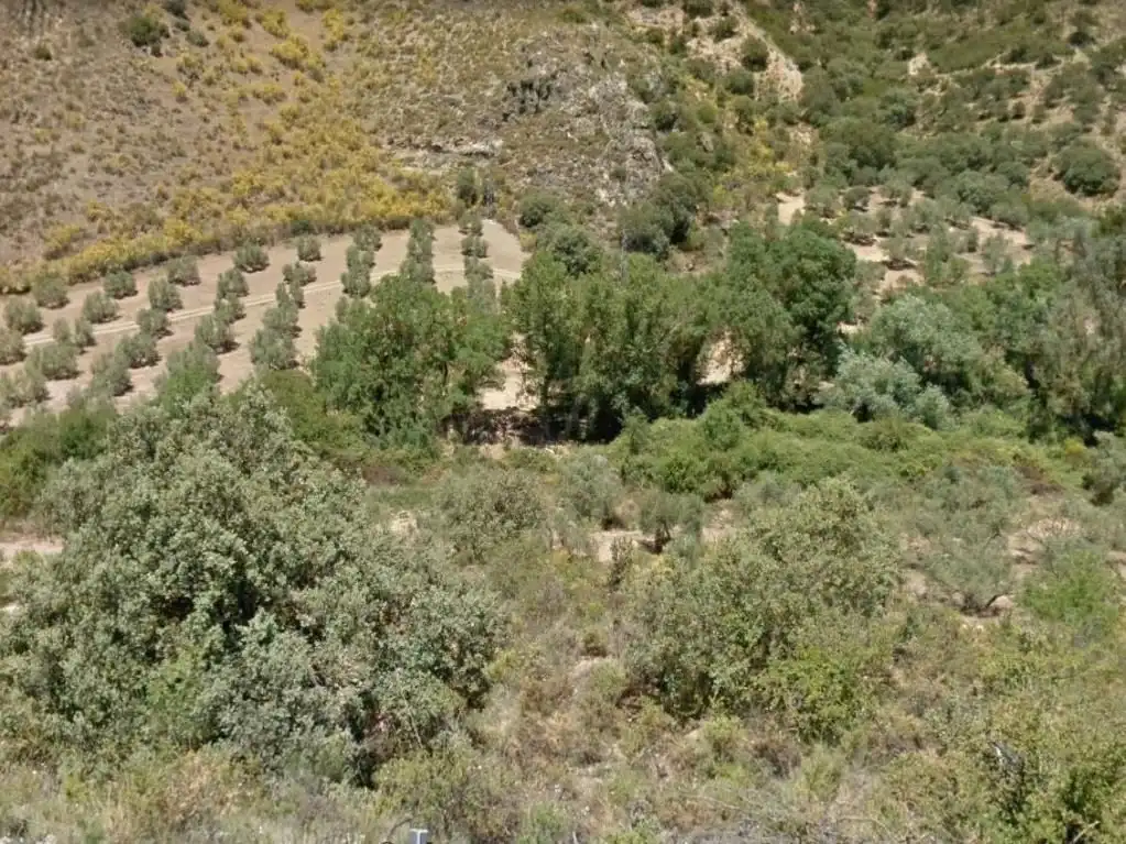 Rural land for sale in Ascó, imagen 3