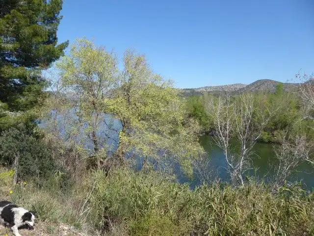 Finca rústica en venta en Xerta