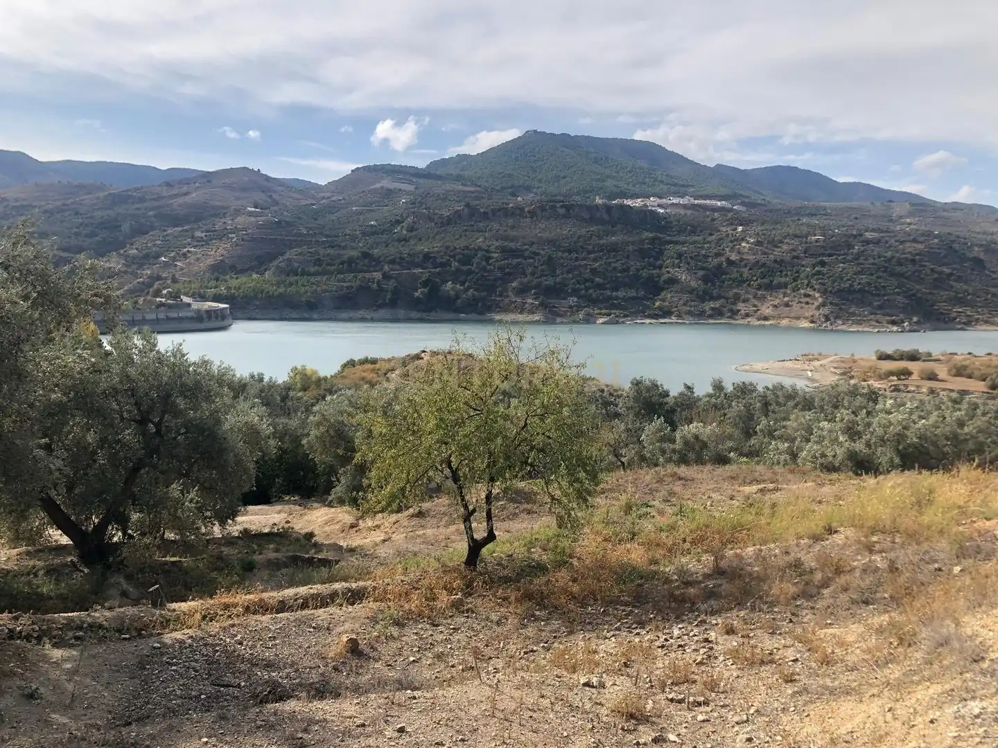 Terreno en venta en Lecrín