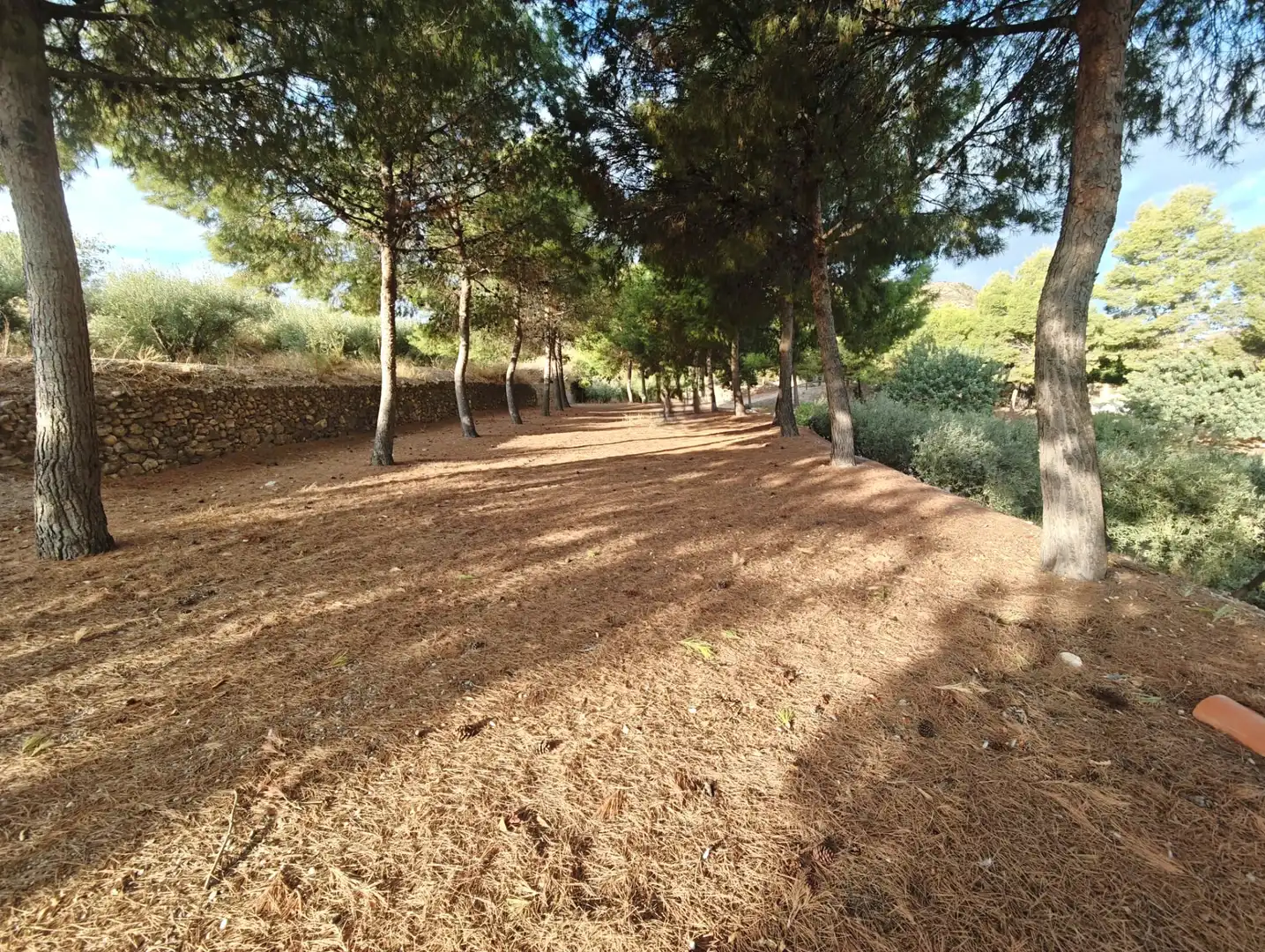 Villa avec piscine à vendre à Totana, imagen 50