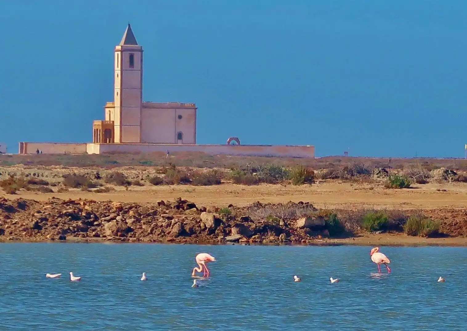 Vista exterior de Casa o chalet en venta en Cabo de Gata con Jardín privado