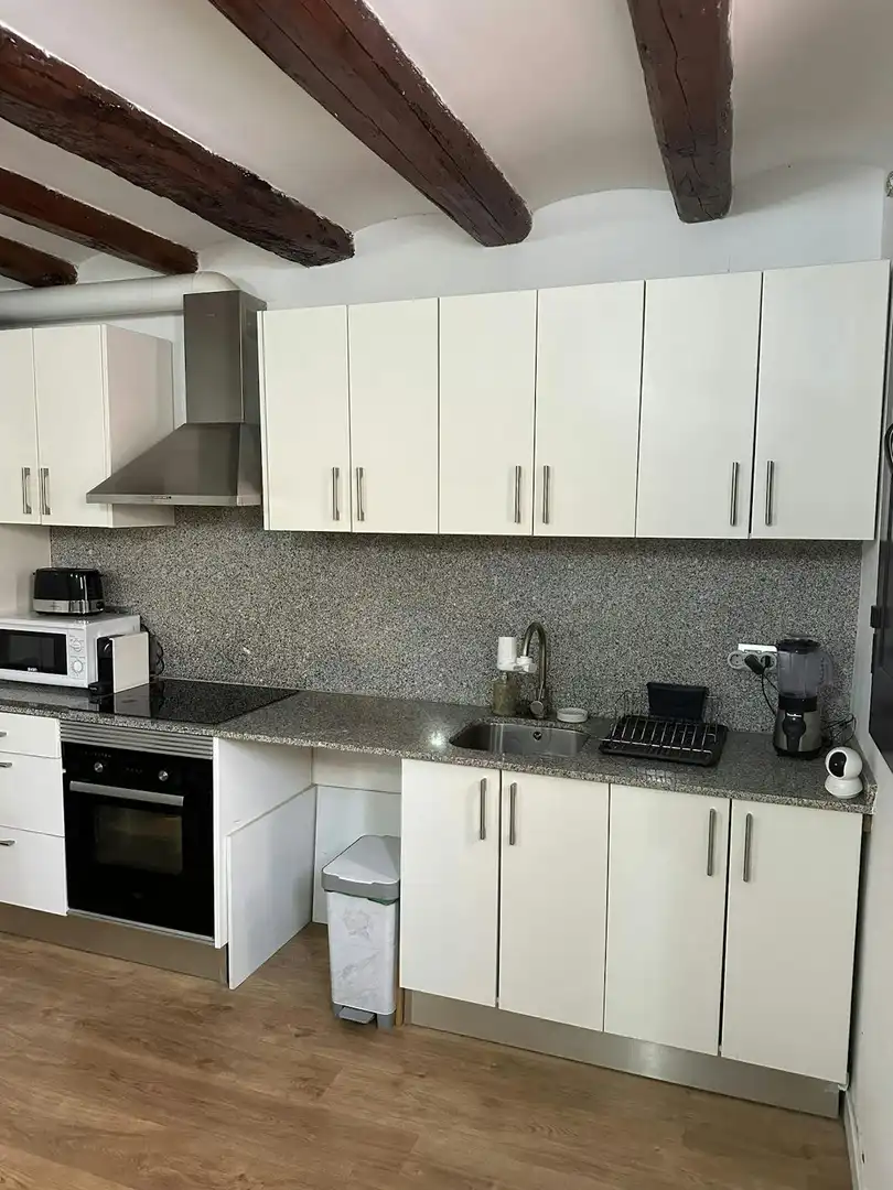 Cocina de Piso de alquiler en Barcelona con Jardín privado, Amueblado y Lavadora