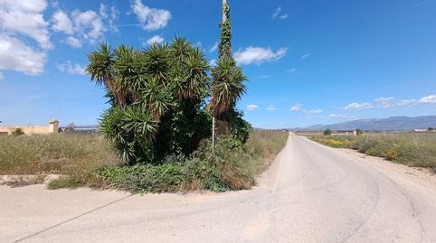 Finca Rustica Cmno. Juan Teresa  Raiguero Bajo Totana, immagine 4