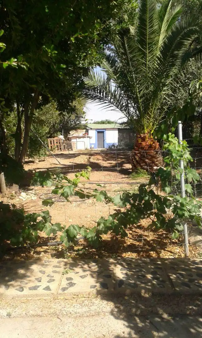 Casa o chalet en venta en Ciudad Real con Terraza y Trastero