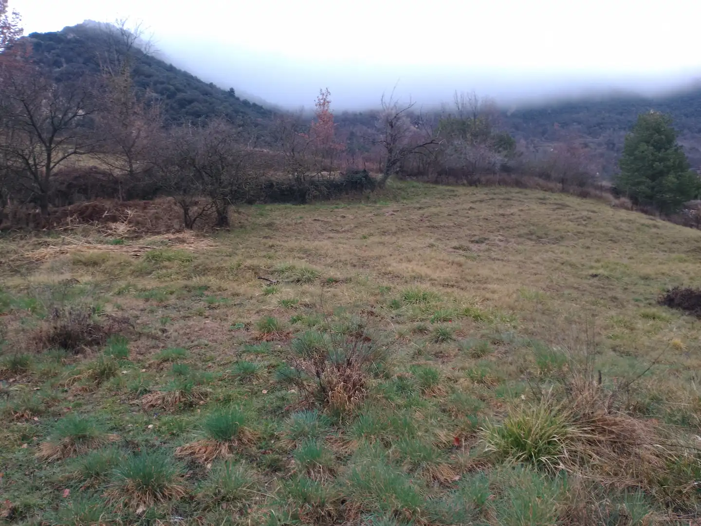 Terreny rústic en venda a La Nou de Berguedà, imagen 3