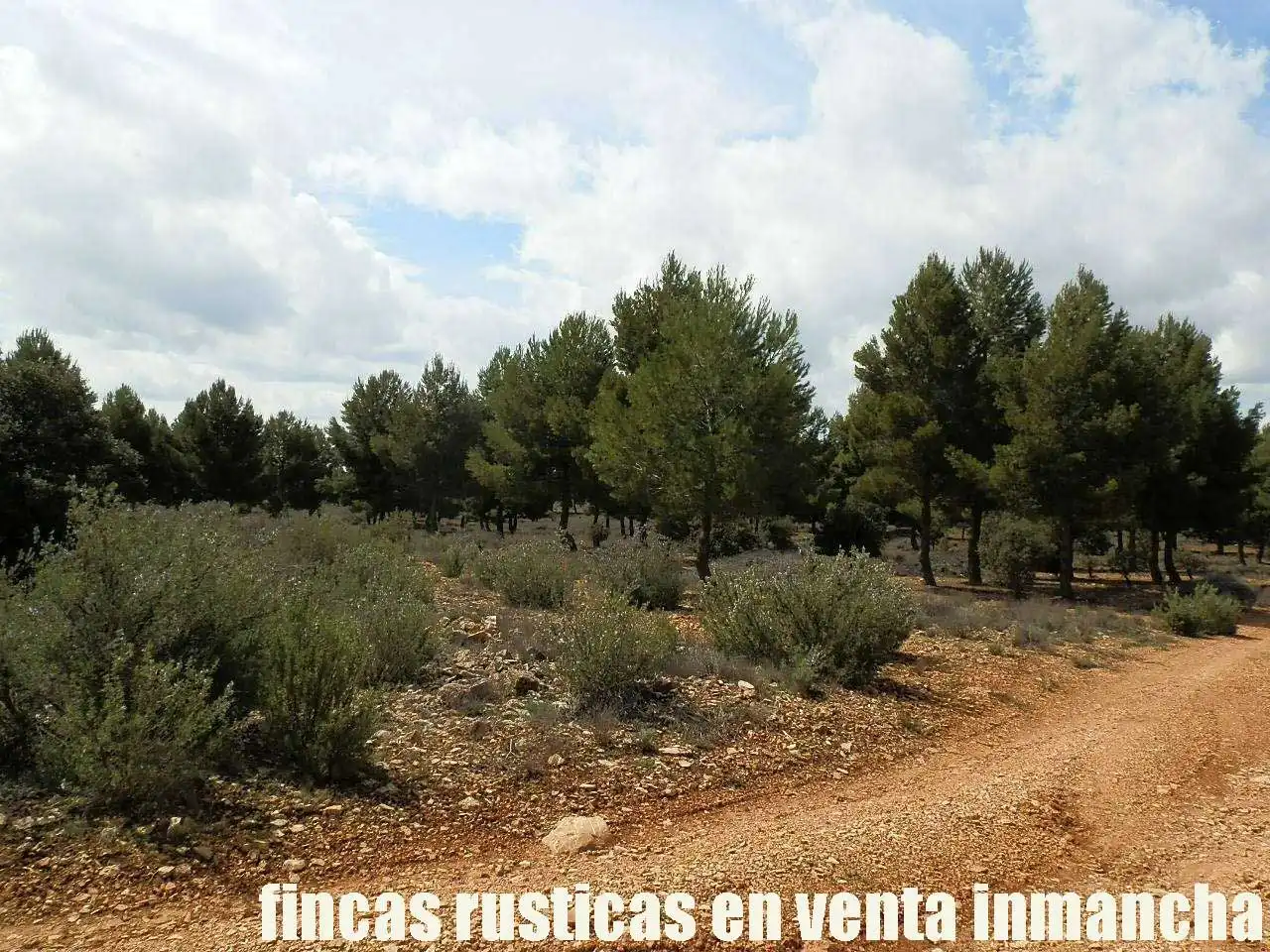 Terreni e lotti in vendita a Villarrobledo, imagen 11