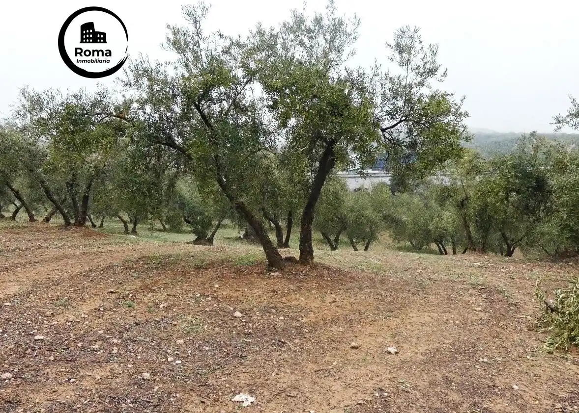 Terrain rustique à vendre à Peligros, imagen 12