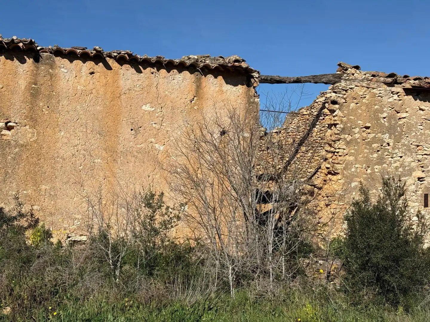 Finca rústica en venda a Puigpelat