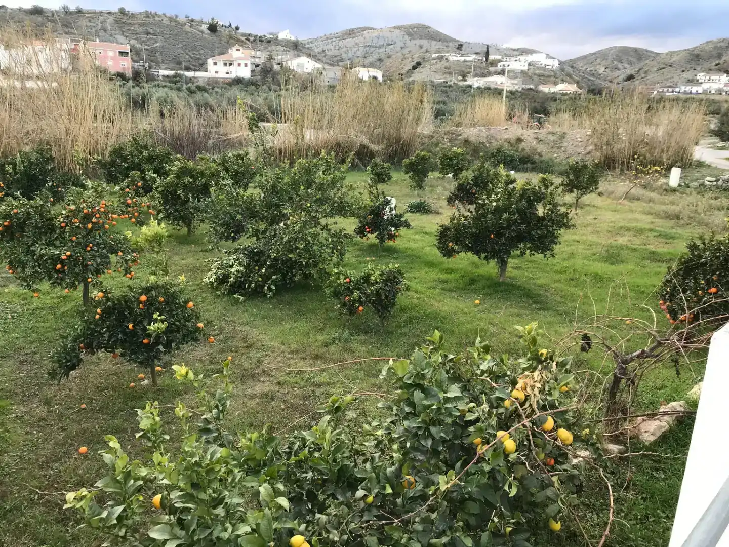 Finca rústica en venda en Oria