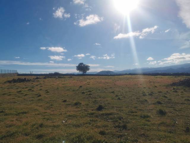 Terreno en Venta en Ronda Alto de la Horca, 54 en Cespedosa de Tormes