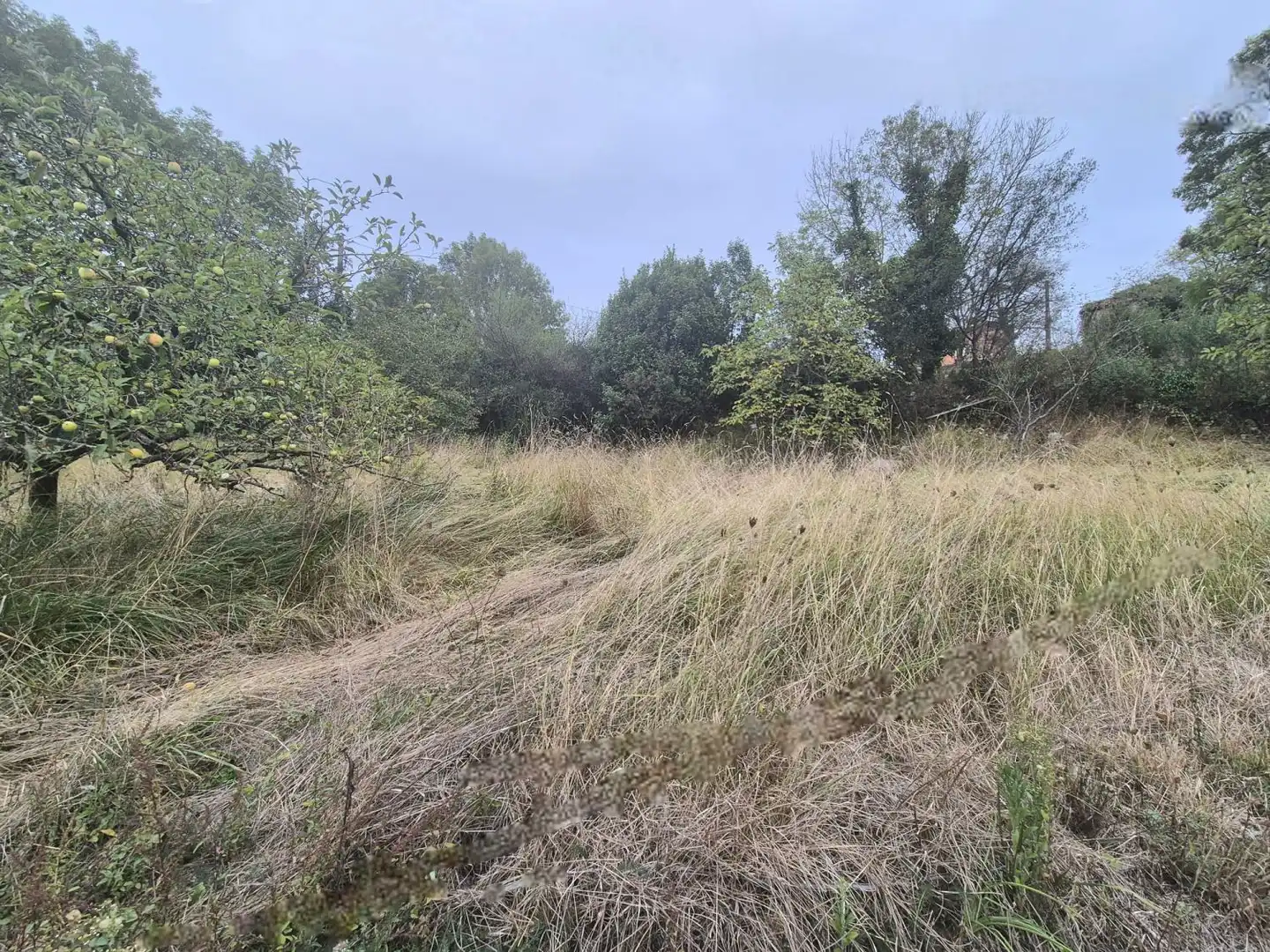 Residential land for sale in Grado, imagen 2